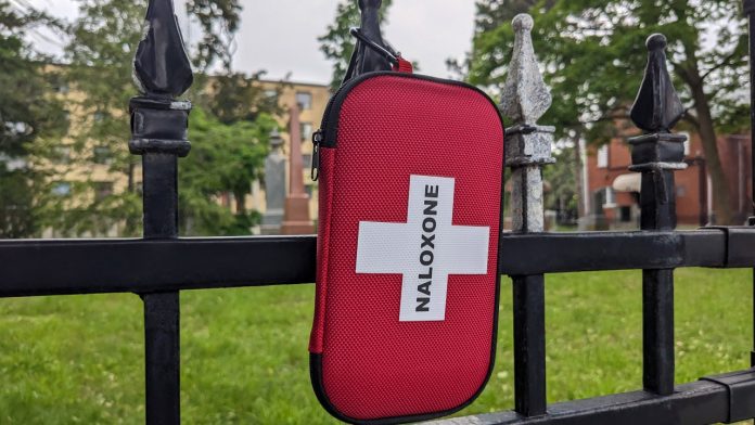 A harm reduction kit containing Naloxone