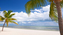 cocaine florida beach