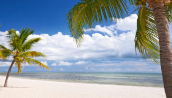 cocaine florida beach