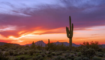 Arizona Medicaid women's addiction treatment