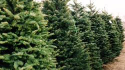 Montana addiction recovery