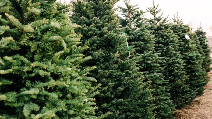 Montana addiction recovery