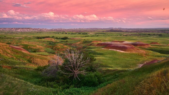 free rehab South Dakota
