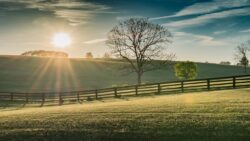 free rehab Kentucky