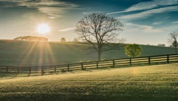 free rehab Kentucky