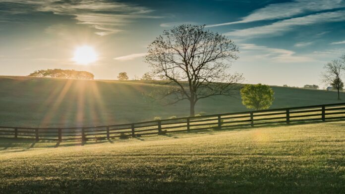 free rehab Kentucky