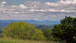 medicaid rehab coverage new hampshire