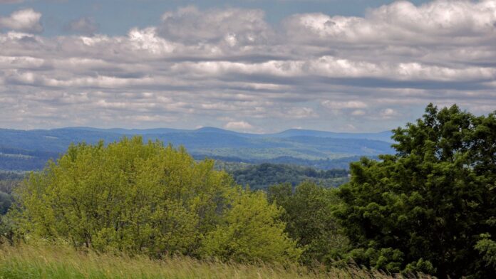 medicaid rehab coverage new hampshire