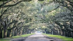 free narcan in South Carolina