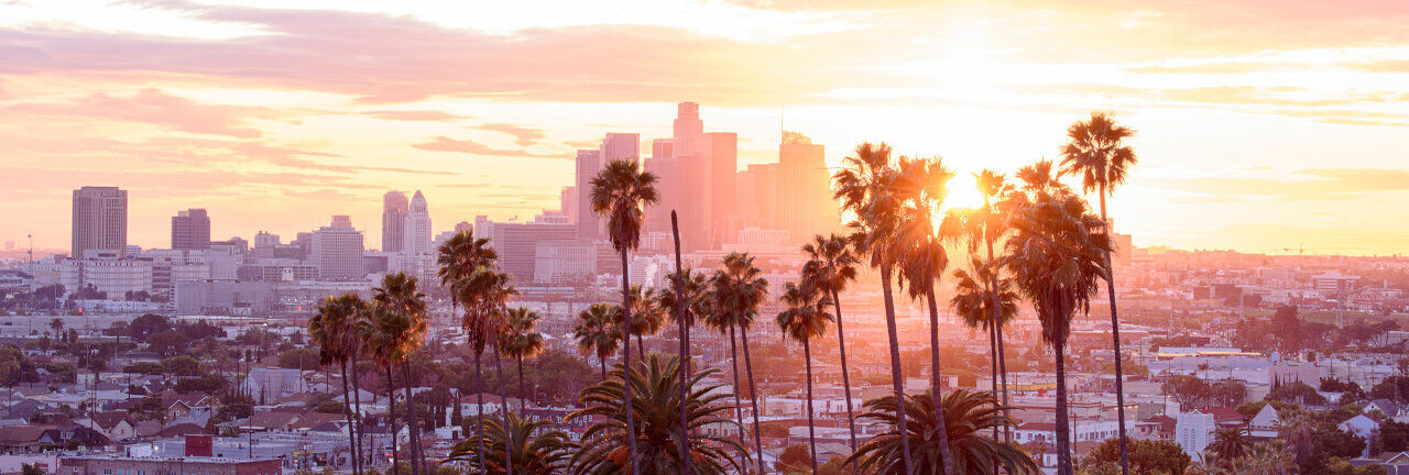 Free Rehabs in Los Angeles Surge as Overdose Deaths Fall