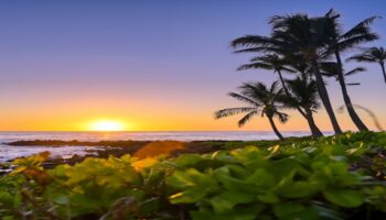 Hawaii Medicaid rehab