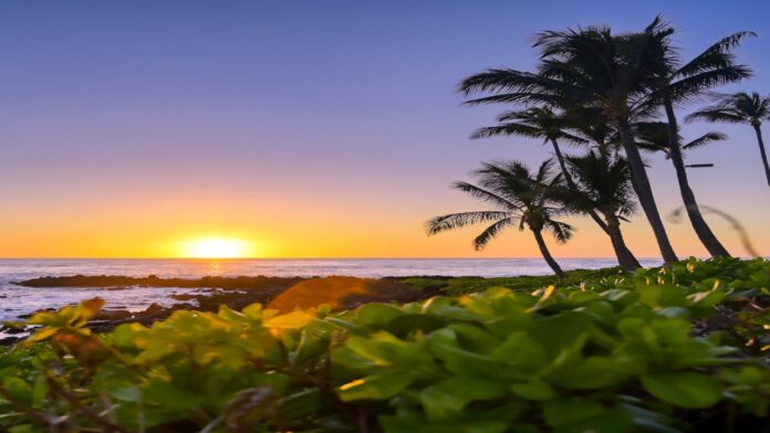 Hawaii Medicaid rehab