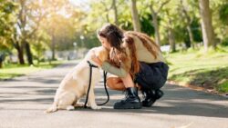 Free Pet Care