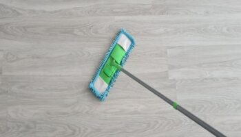 free house cleaning charlotte