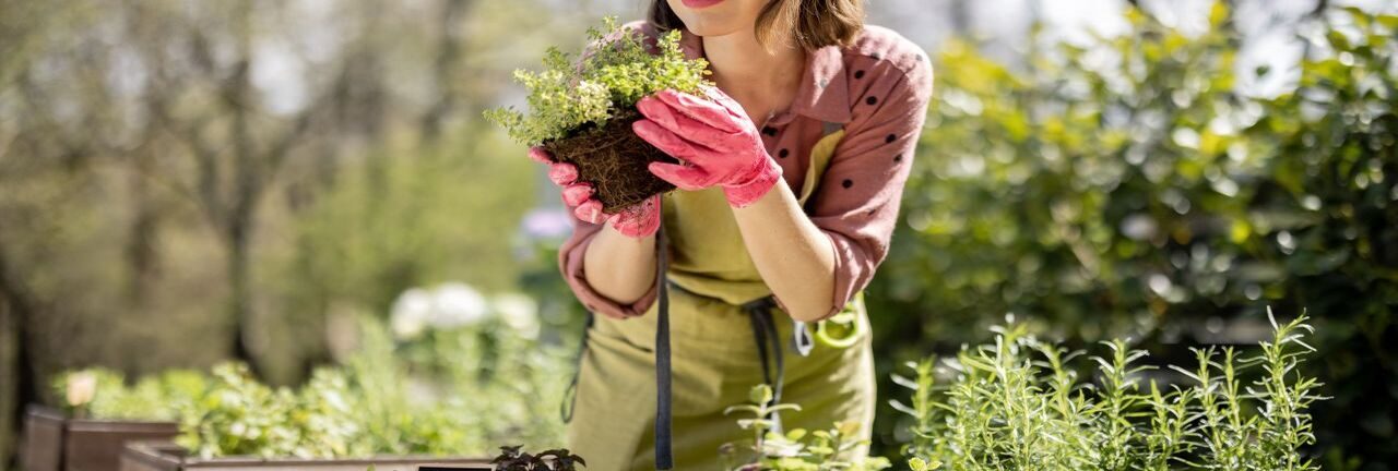Nashville Nonprofit Farm Expands Recovery Services For Women